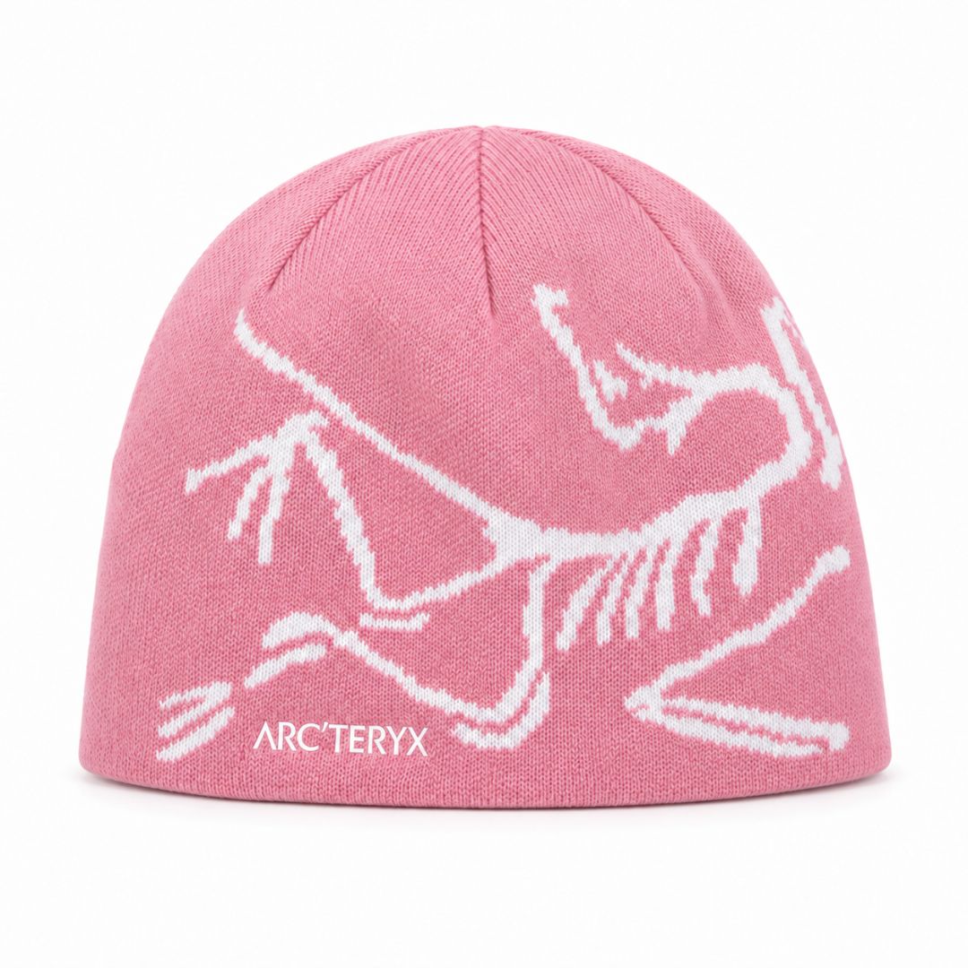 ARC Beanie