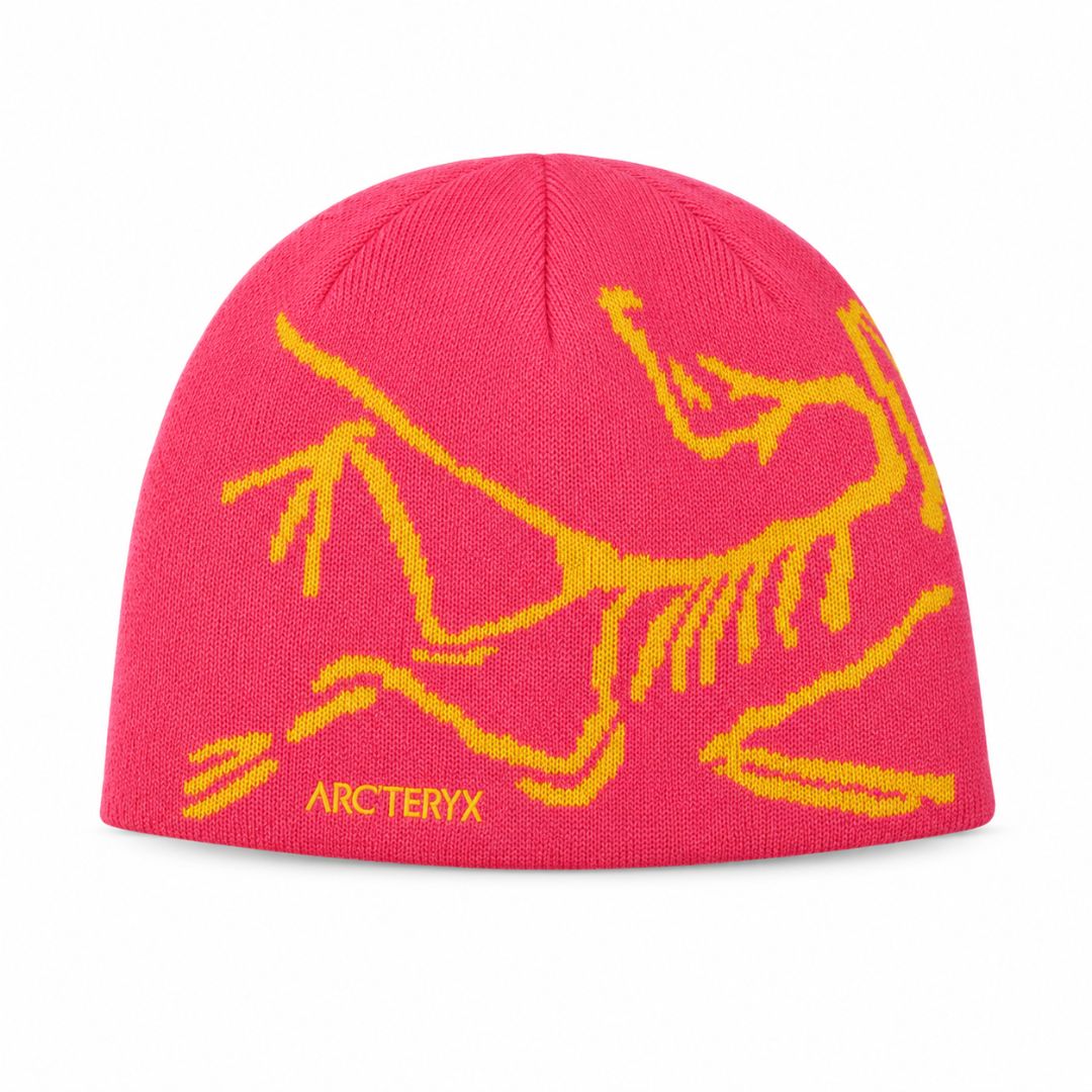 ARC Beanie